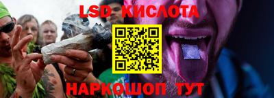 стафф Будённовск