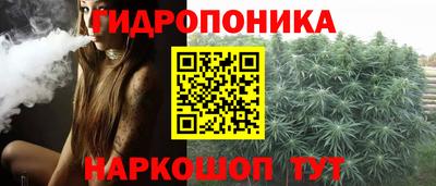 стафф Будённовск