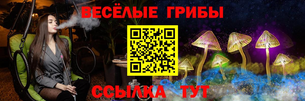 Псилоцибиновые грибы мицелий  Вход с VPN  Михайловск 